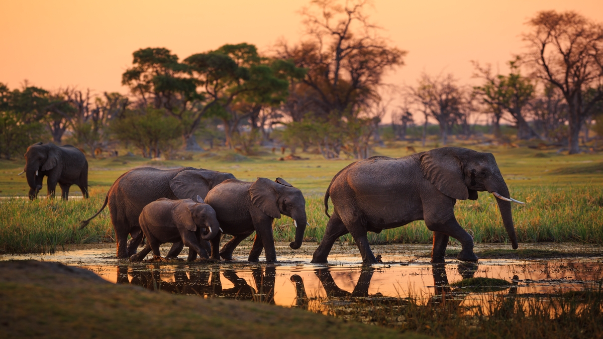 Botswana