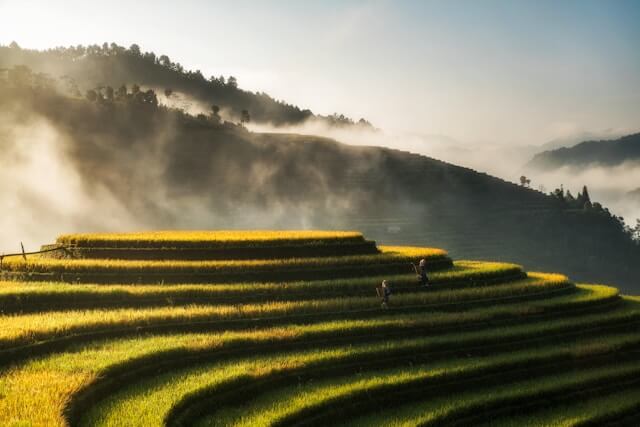 Laos