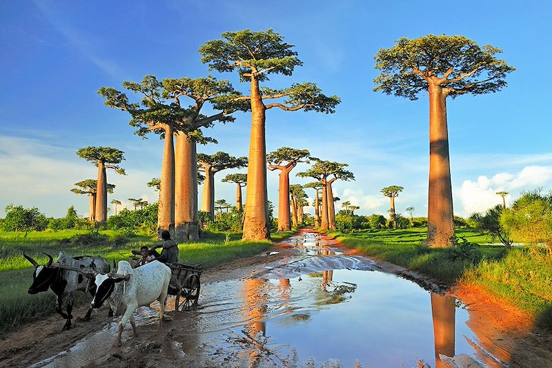 Laos